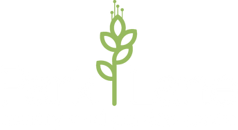 Navigate back to Park Lane Nursery homepage