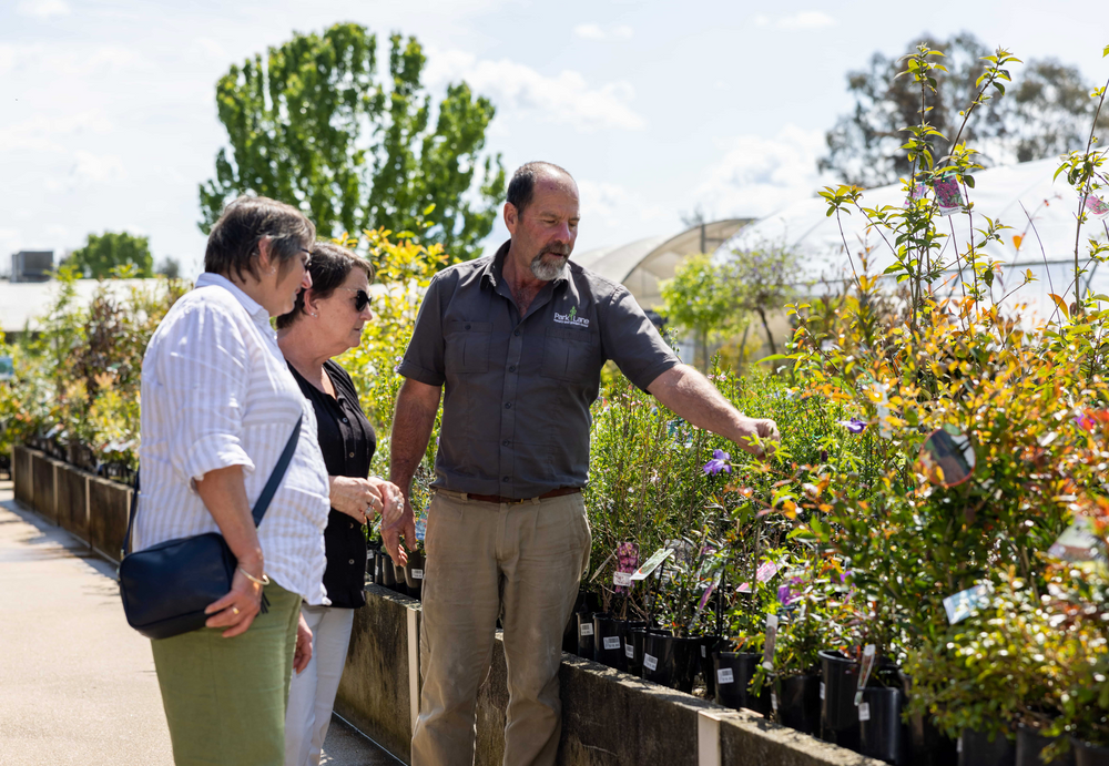 Seasonal Planting Guide: What to Plant and When